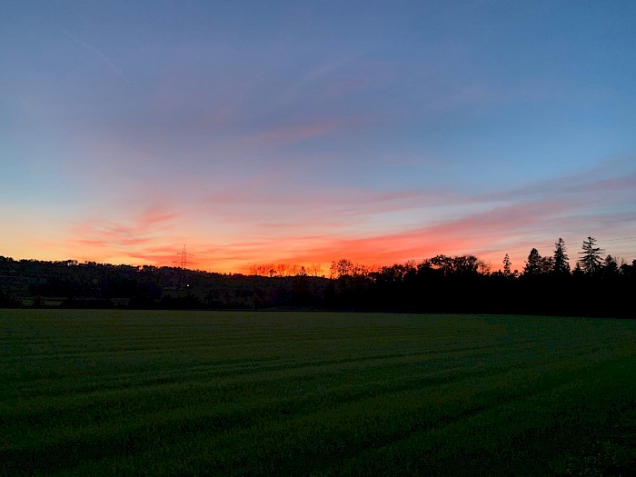Toller Sonnenuntergang bei Thalheim