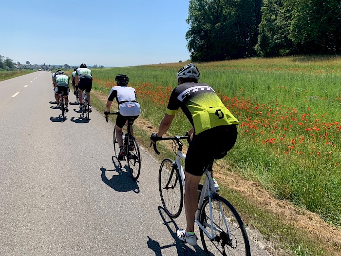 Auf dem Rückweg aus dem Schwarzwald