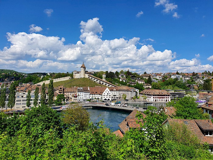 Blick von Feuerthalen auf Schaffhausen mit dem Munot und dem Rhein