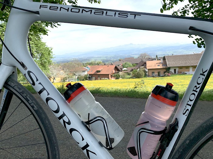 Blick vom Hosenruck richtung Säntis