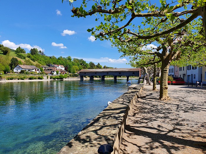 Der Rhein mit der Holzbrücke on Diessenhofen TG