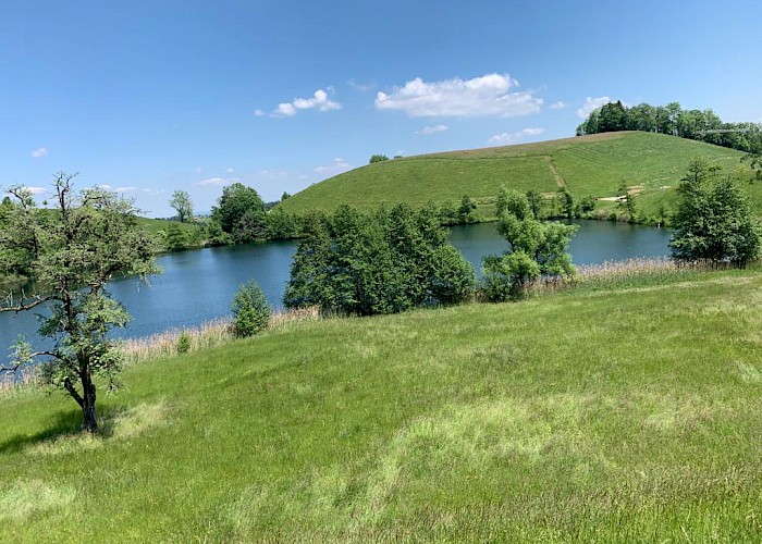 Blick auf den Wilersee