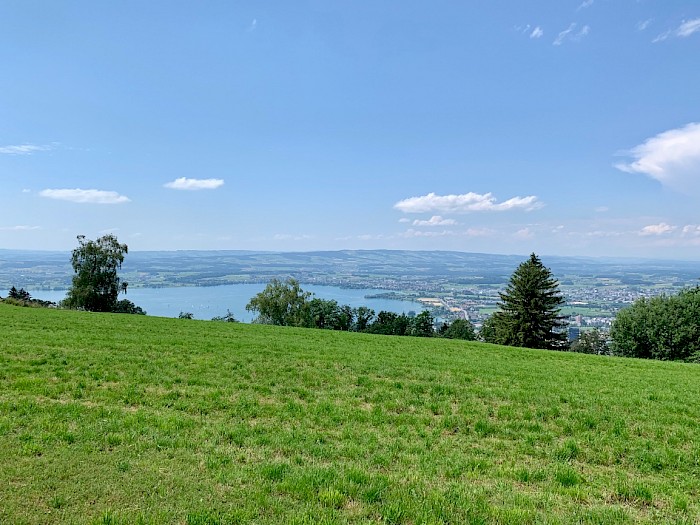 Wunderbare Aussicht vom Zugerberg über den See