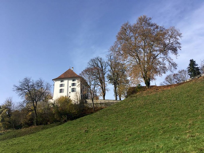Blick auf das Schloss Rued