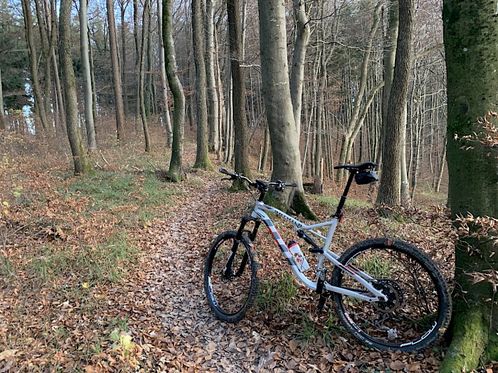 Mein Mountainbike im herbstlichen Irchelwald