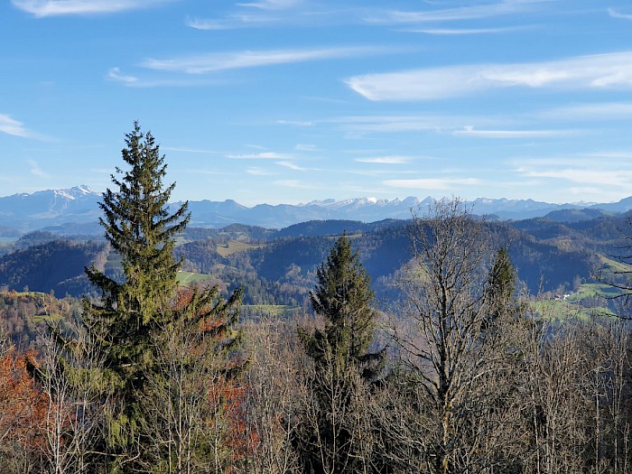 Aussicht auf den Säntis und die Churfirsten