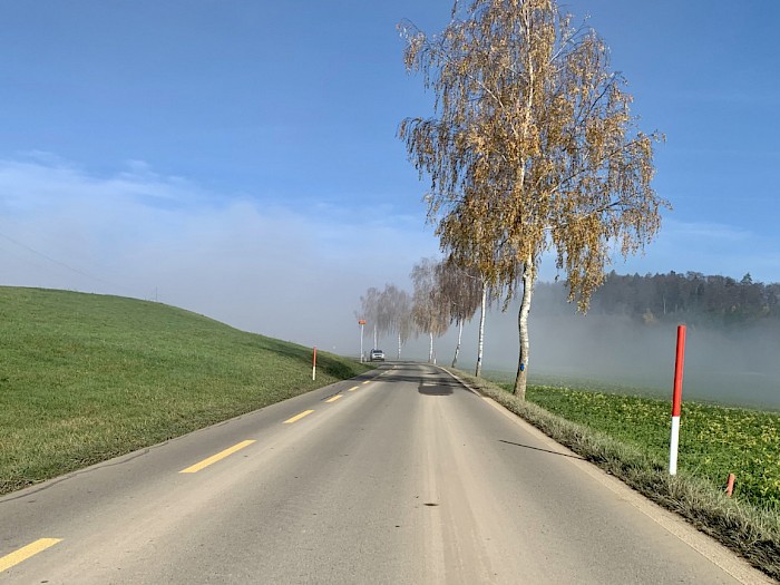 Die Strasse nach Thayngen in der Sonne, später wartet noch der Nebel