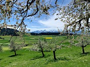 Zum Vergössern das Bild anklicken