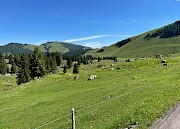 Zum Vergössern das Bild anklicken