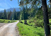Zum Vergössern das Bild anklicken