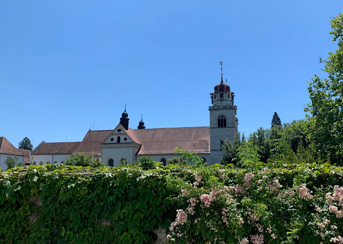 Die Strecke fürhrte uns auch am Kloster Rheinau vorbei