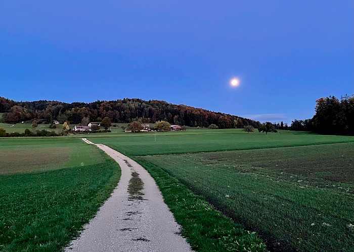 Der Fast-Vollmond begleitete uns während dem Spaziergang