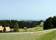 Zum Vergössern das Bild anklicken