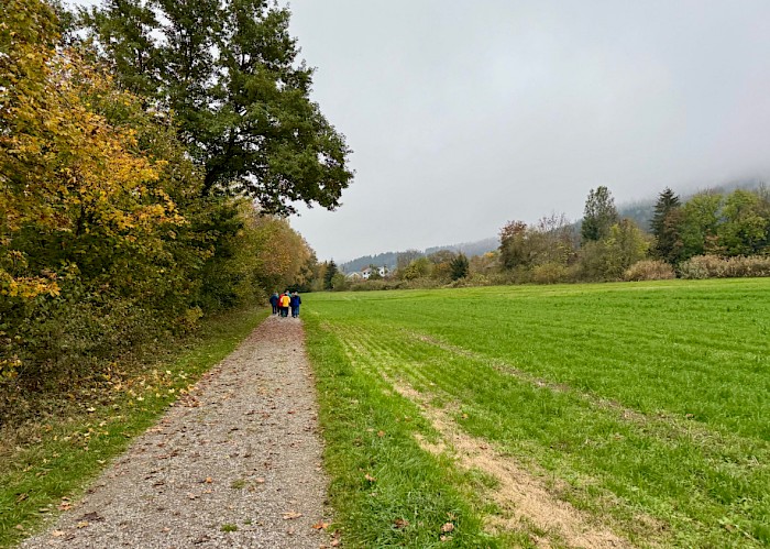 Die Gruppe VMCler beim Spaziergang um Aadorf