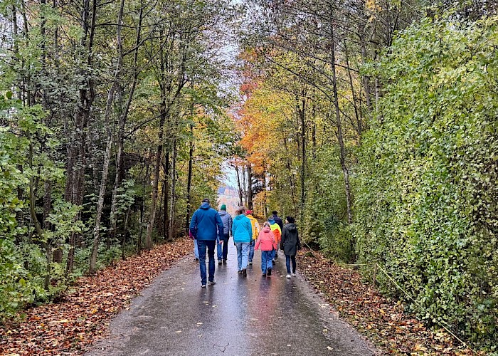 Die VMCler im Wald auf der nassen Strasse